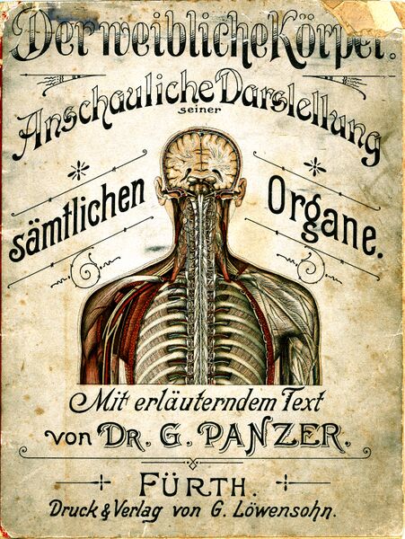 Datei:Der weibliche Körper (Buch).jpg