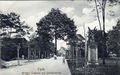 Alte Ansichtskarte vom Stadtpark mit , im Hintergrund die . Postkarte gelaufen am 10. / 11. November 1916.