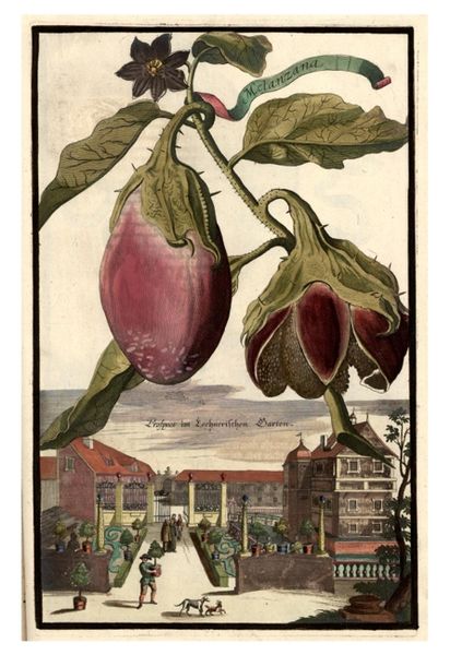 Datei:Lochner Garten 1708.jpg