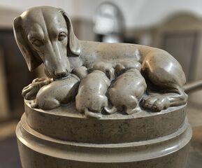 20251001 Nathanstift Hündin 021 Kopie.jpg