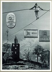 Ferdinand Vitzethum Fotowettbewerbbeitrag.jpg