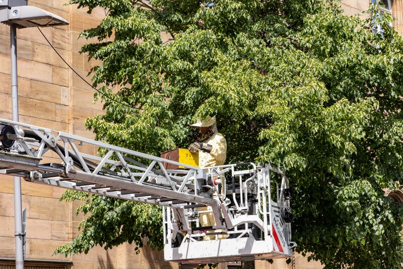 Datei:Feuerwehr Mai 2022 7.jpg