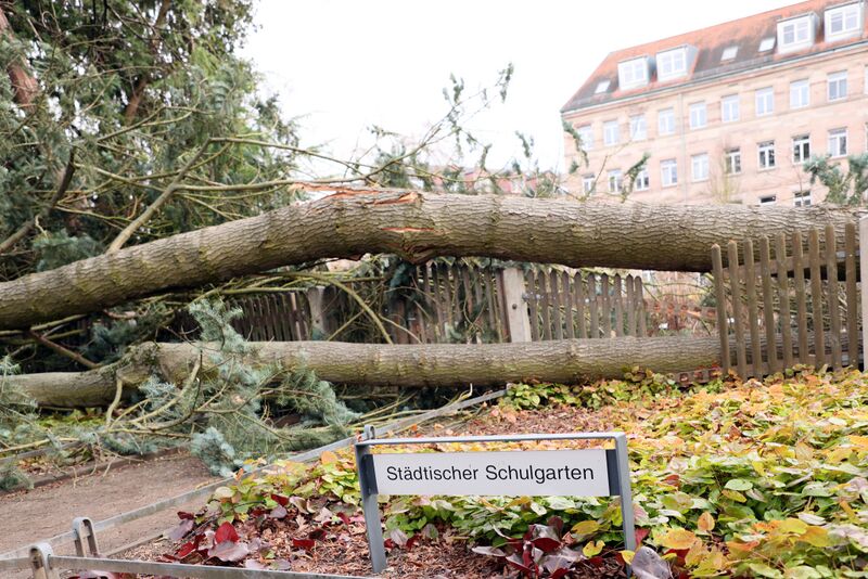 Datei:Sturmschäden Feb 2022.jpg