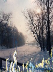 NL-FW 04 0530 KP Schaack Waldmansweiher 13.1.1985.jpg