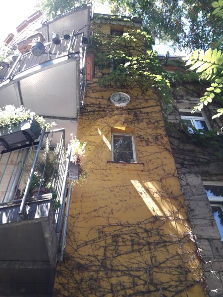 Datei:Theaterstraße 49 Hofseite IV.jpg