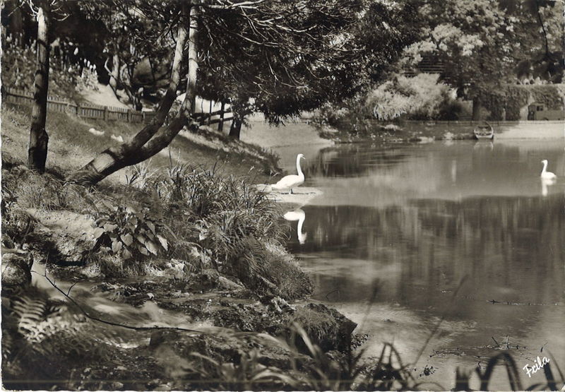 Datei:Stadtpark Postkarte (6).jpg