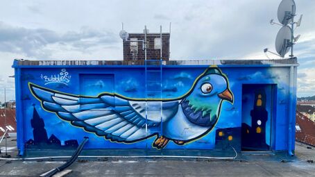 Taube am Dach final.jpg