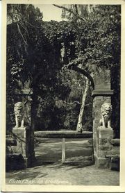 Stadtpark Löwen gel 1949.jpg