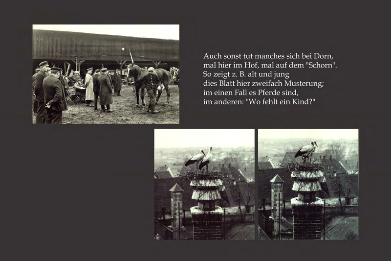 Datei:Vacher Fotoalbum (Buch).pdf