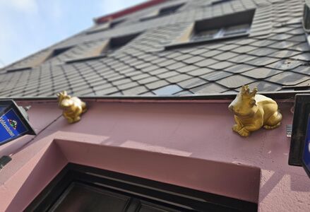 2025 08 23 Goldfrosch.jpg