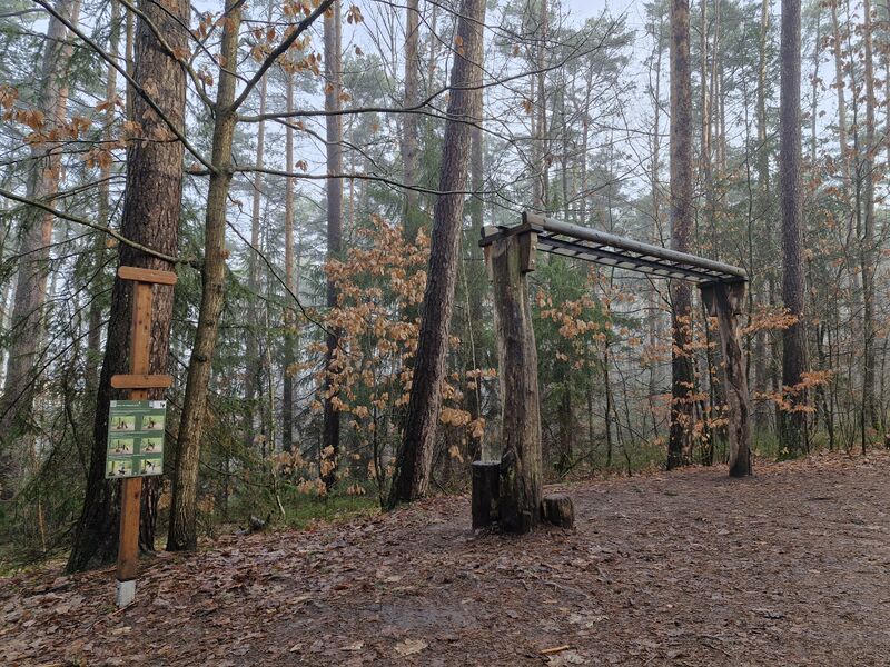 Datei:Vitaparcours station kletterbrücke.jpg