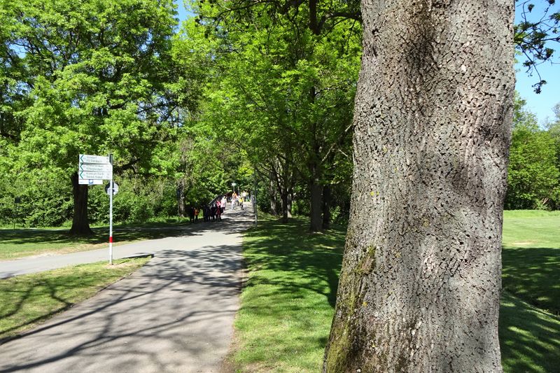 Datei:Friedhofsweg Richtung Friedhofsteg.jpg