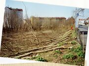 NL-FW 04 2256 KP Schaack Kavierlein 28.3.2007.jpg