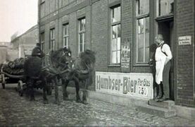 Screenshot Humbserfilm.jpg