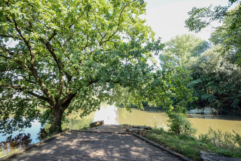 Datei:Flußdreieck Aug 2023 3.jpg