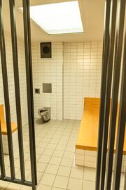 TdoT Polizei Sept 2024 16.jpg