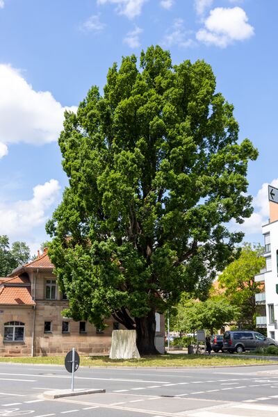 Datei:Frei Luft Galerie 2022 Eröffnung 11.jpg