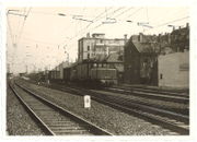 Sammlung Böhm (5).jpg