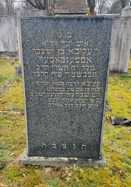 Datei:Akiva Egmont Offenbacher Grabstein.jpg