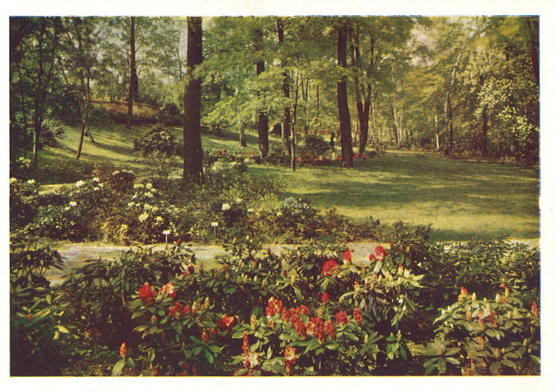 Datei:Postkarte Grünen und Blühen 3.jpg