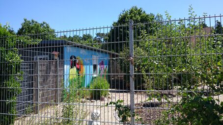 Tierfriedhof Stadeln 2022 1.JPG