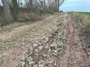 Egersdorfer Straße Bodendenkmal Mrz 2024 3.jpg
