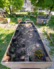 20250429 FW ALTSTADTGÄRTLA 01120250429 FW ALTSTADTGÄRTLA 011.jpg