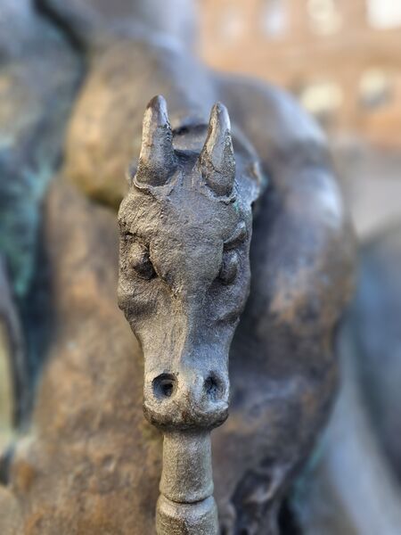 Datei:20260118 135053.jpg