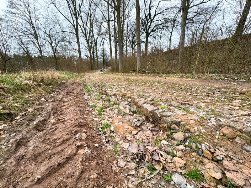 Datei:Egersdorfer Straße Bodendenkmal Mrz 2024 9.jpg