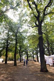 Eichenhain 2018 5.jpg