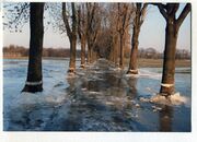 NL-FW 04 0453 KP Schaack Hochwasser Käppnerweg 5.3.1987.jpg