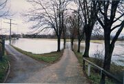 NL-FW 04 0458 KP Schaack Hochwasser Käppnerweg 2.1.19878.jpg