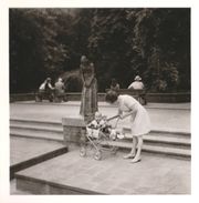 Stadtpark 1972 (1).JPG