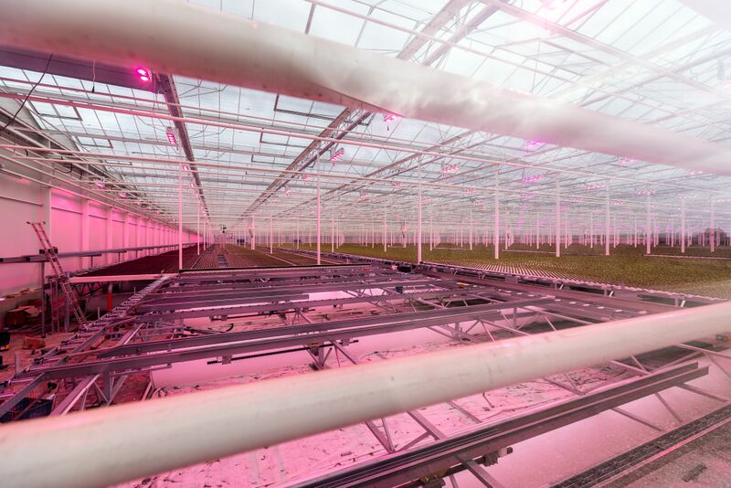 Datei:Gemüse Hofmann Poppenreuth Feb 2022 3.jpg