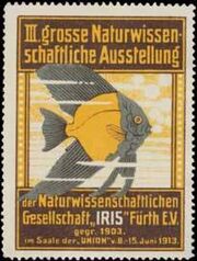 IRIS-Ausstellung3.jpg