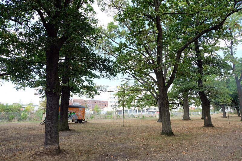 Datei:Eichenhain 2018 4.jpg