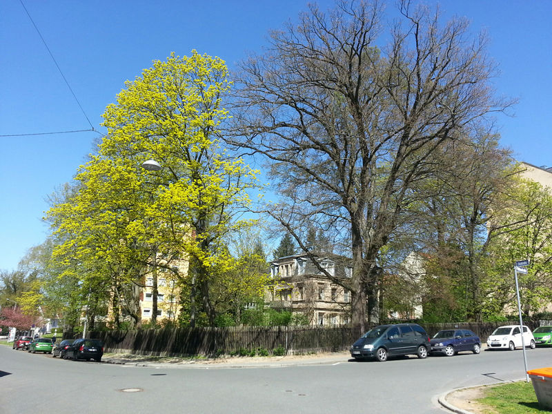 Datei:Flößaustraße 5.jpg