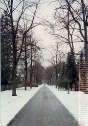 NL-FW 04 0534 KP Schaack Stadtpark 8.1.1984.jpg