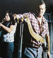 Doria Mund- und Handarbeit.jpg