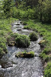 Querableitung Pegnitz.JPG