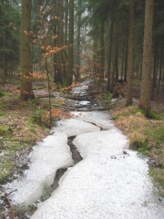 Dambach (Gewässer) III.JPG