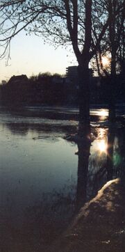 NL-FW 04 0451 KP Schaack Hochwasser Käppnerweg 5.3.1987.jpg