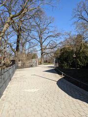 Engelhardtstraße Stadtpark Mrz 2022.jpg