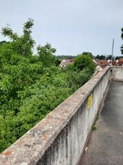 Orchideenstraße 10 Stadeln 3 2025.jpg