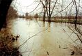 Hochwasser in der Pegnitz am Stadtpark, Dezember 1993