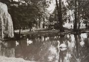 Schwanenweiher 1965.jpg