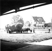 NL-FW 09 KP 403 Batzenhaus 1935.jpg