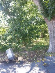 Höfener Spange 14.jpg