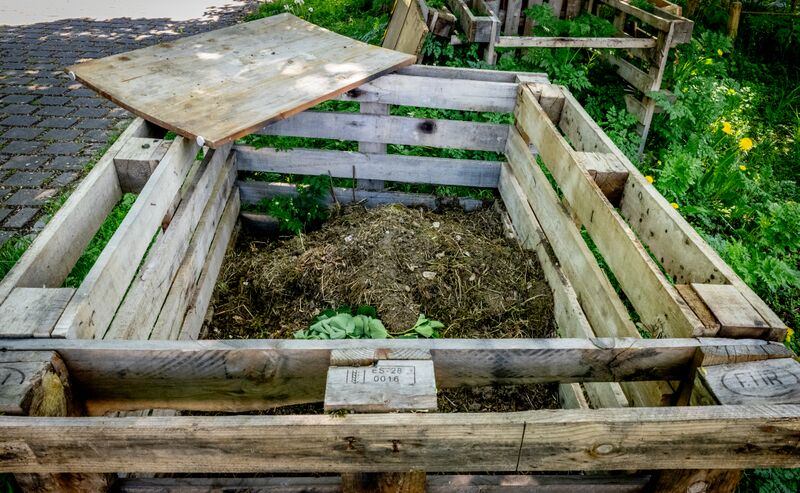 Datei:20250429 FW ALTSTADTGÄRTLA 01620250429 FW ALTSTADTGÄRTLA 014.jpg