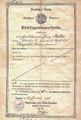 Einbürgerungsurkunde Giorgio Mulinis von 1926